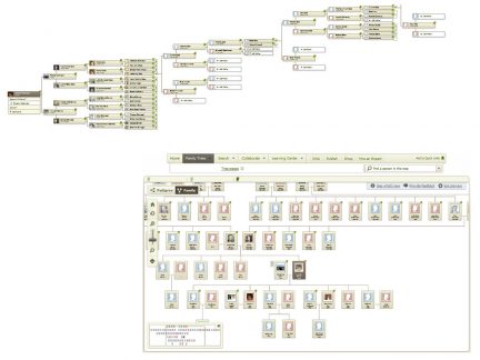 family tree combined